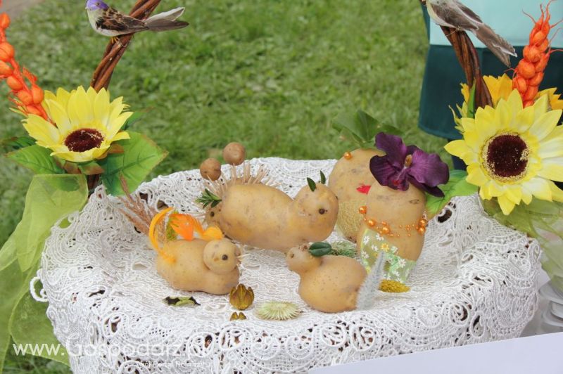 XIX Krajowe Dni Ziemniaka w Marszewie