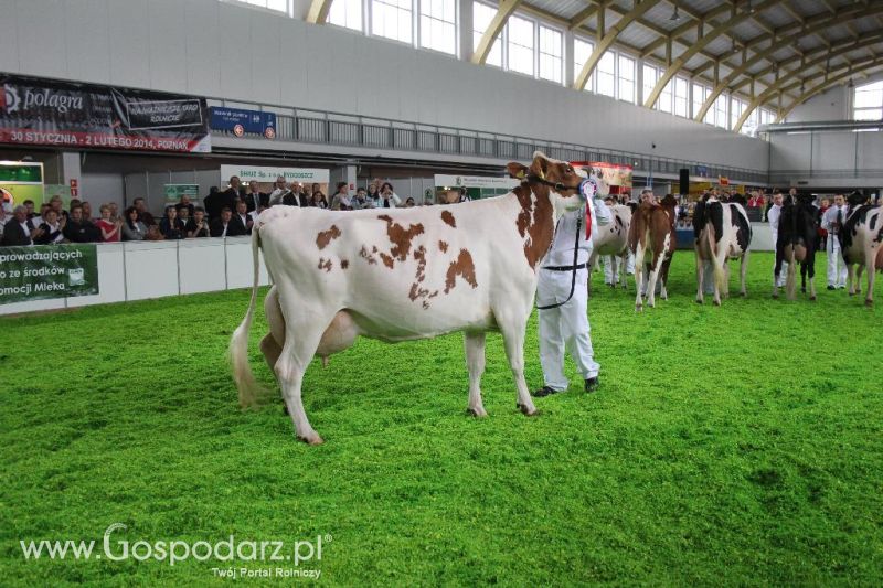 XXVI Krajowa Wystawa Zwierząt Hodowlanych - sobota i niedziela