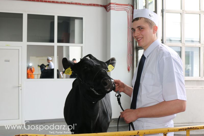 Krajowa Wystawa Zwierząt Hodowlanych w Poznaniu 2017 (piątek, 5 maja)