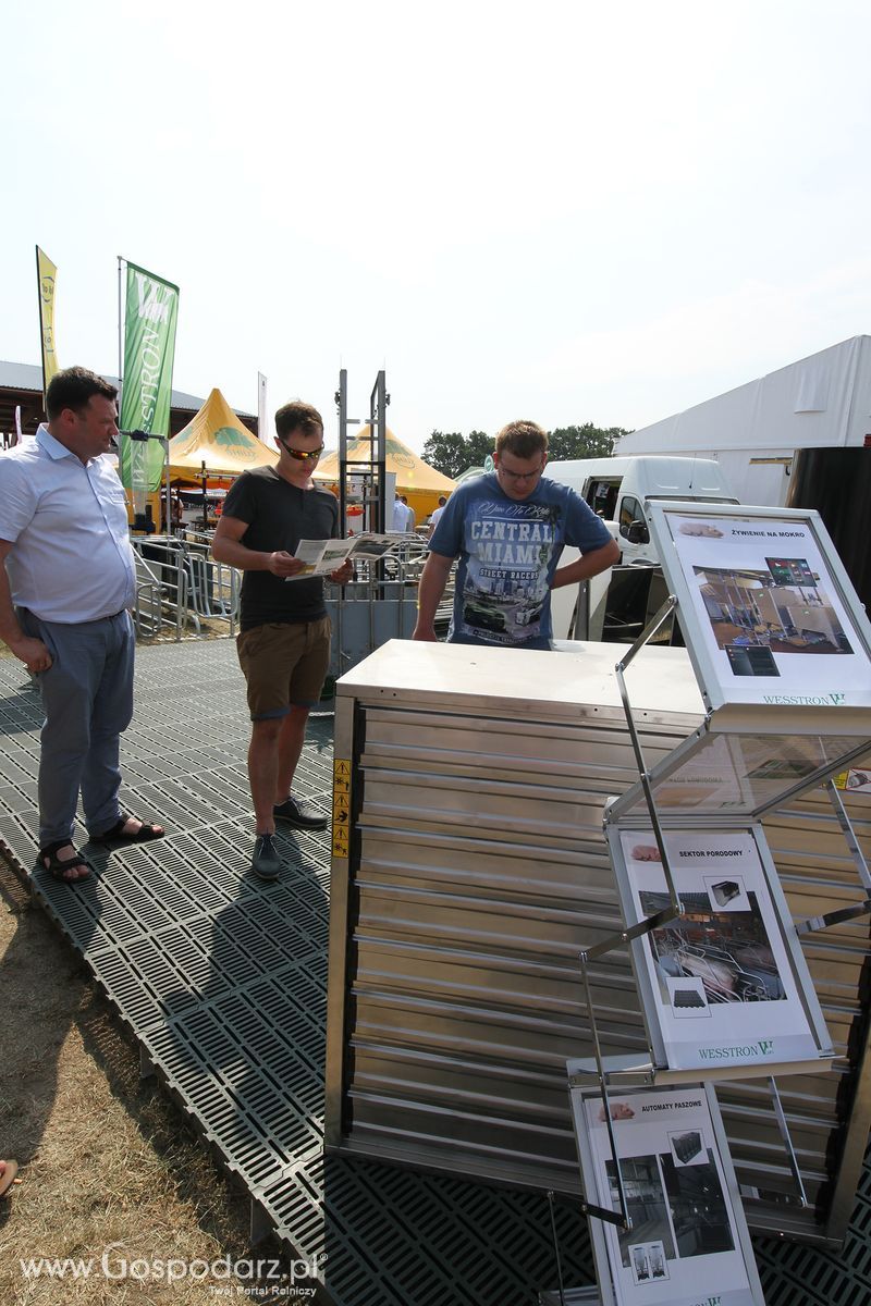 Wesstron na Targach Agro-Tech w Minikowie 