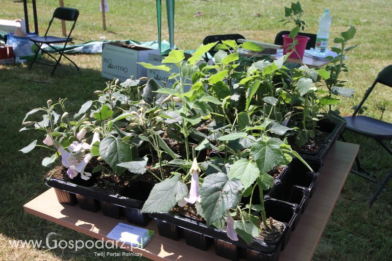 Zielone AgroShow 2016