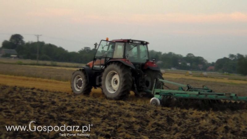 Talerzowane 2013 