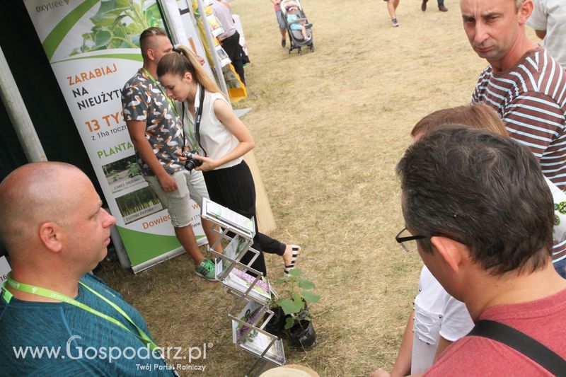 Oxytree na OPOLAGRA Kamień Śląski 2018