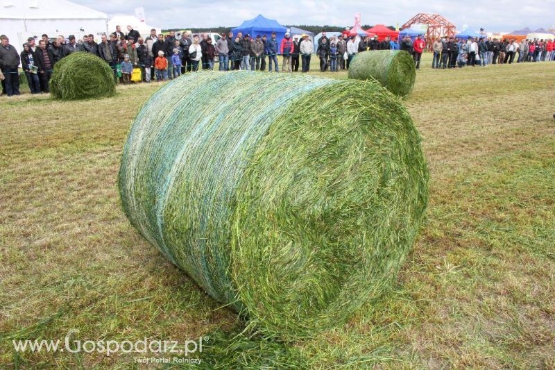 Pokazy maszyn Polskie Zboża Zielone Agro Show 2013