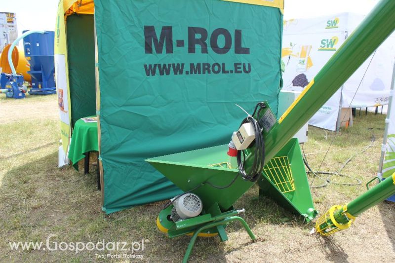M-Rol na Opolagrze 2013