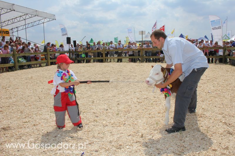 Wystawa Bydła: Konkurs Młodego Hodowcy - Opolagra 2011