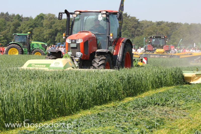 Zielone AGRO SHOW – POLSKIE ZBOŻA 2014 w Sielinku - niedziela