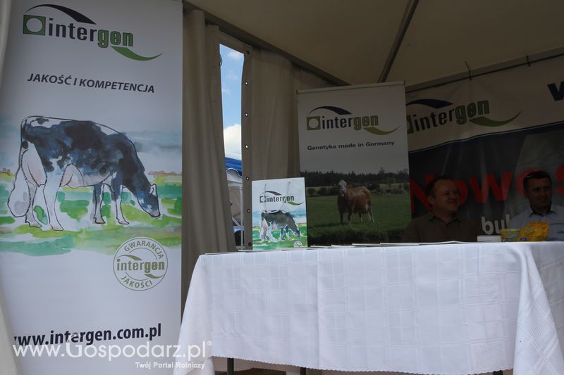 Intergen na OPOLAGRZE 2015