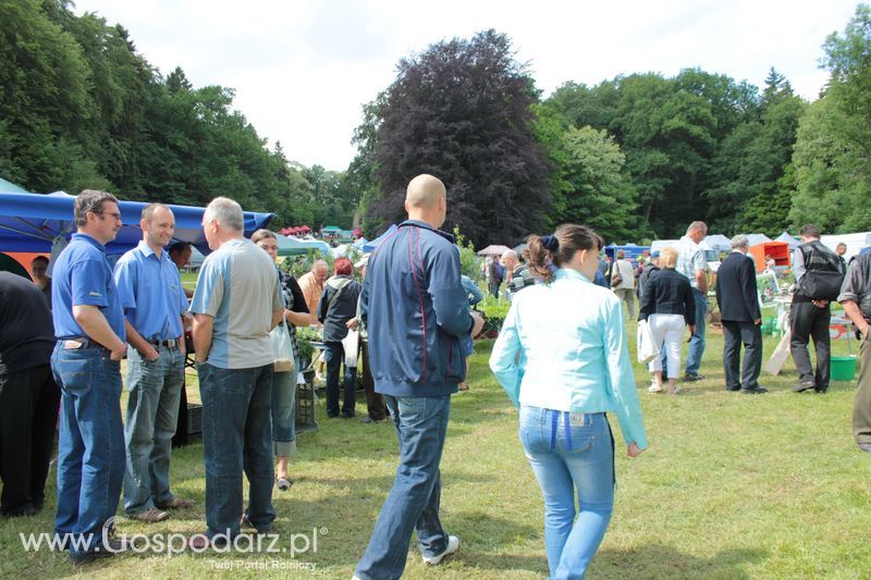 XX Targi Rolnicze Lubniewice 