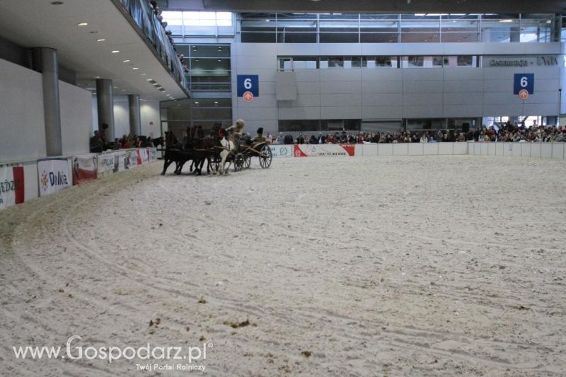 CAVALIADA 2013 w Poznaniu