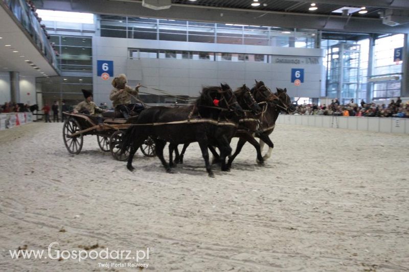 CAVALIADA 2013 w Poznaniu