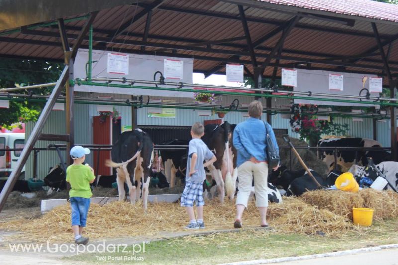 Regionalna Wystawa Zwierząt Hodowlanych i Dni z Doradztwem Rolniczym w Szepietowie-sobota