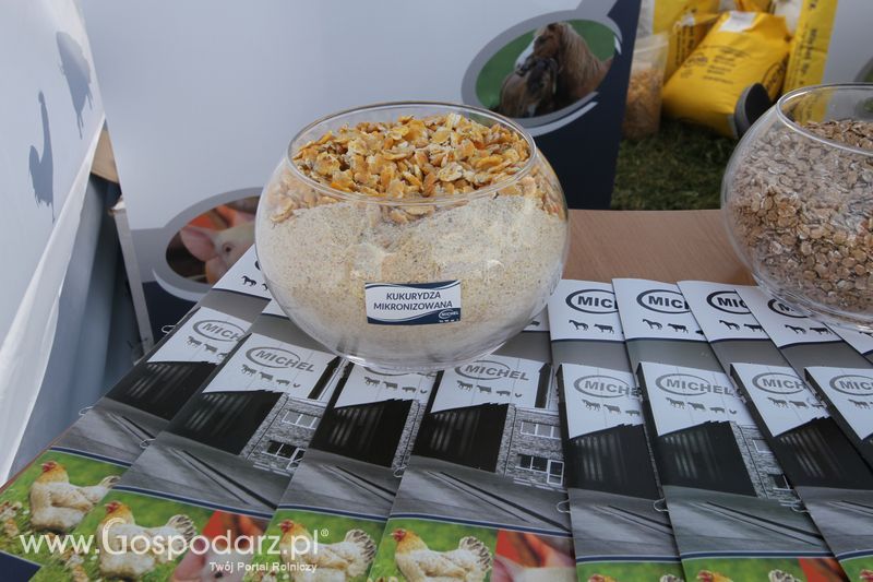 Michel na Wystawie w Szepietowie 