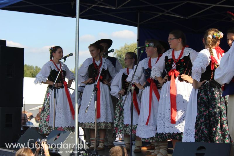 Świętomięs Polski w Chorzowie