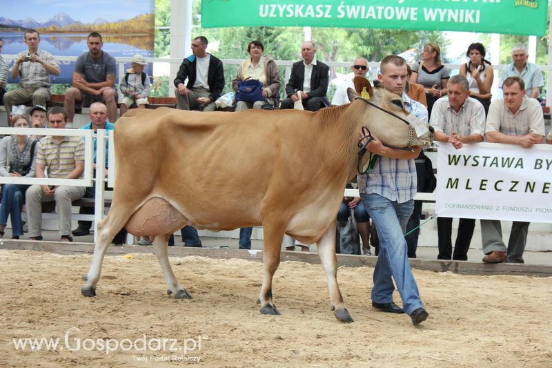 Czempioni XVII Regionalnej Wystawy Zwierząt Hodowlanych Sielinko 2011
