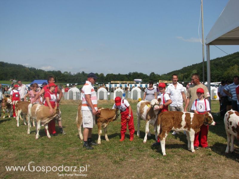 Rudawka Rymanowska 2012 - Młody hodowca