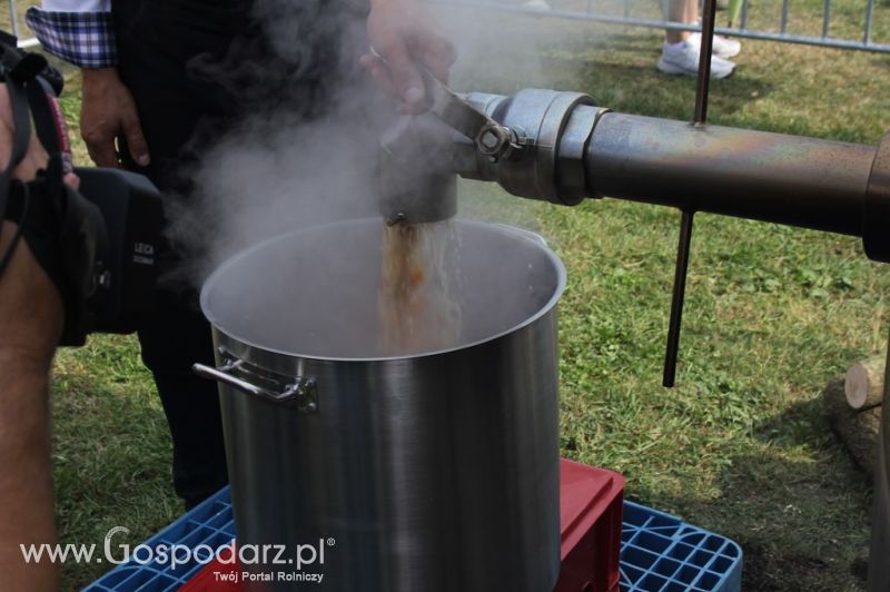 Świętomięs Polski w Chorzowie