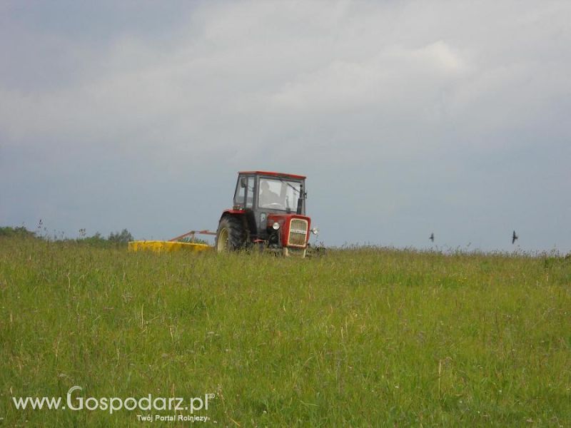 Piotrek9095-Sianokosy 2012