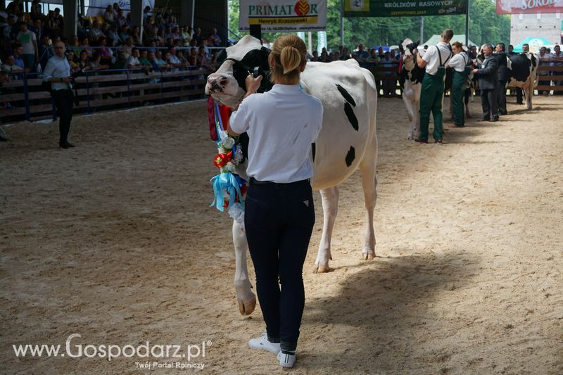 Wystawa zwierząt w Szepietowie