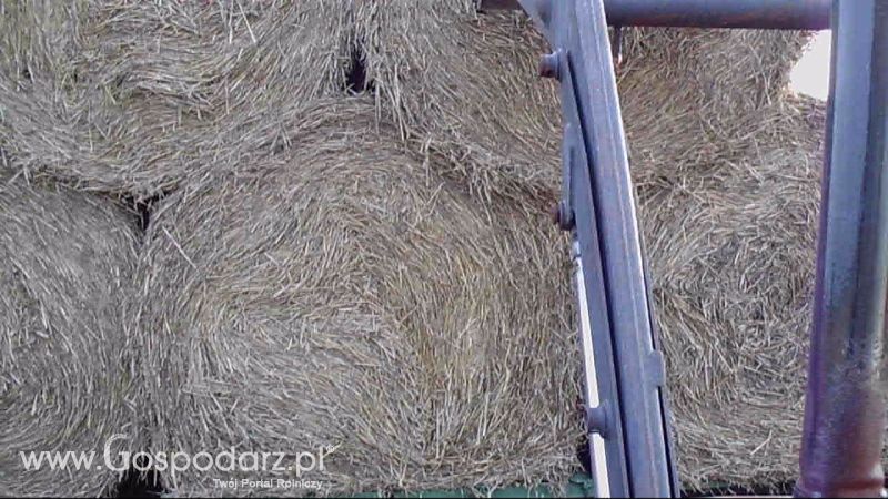 Zbiór Słomy 2013