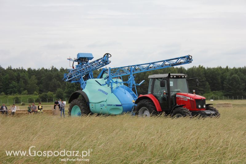 Opolagra 2011