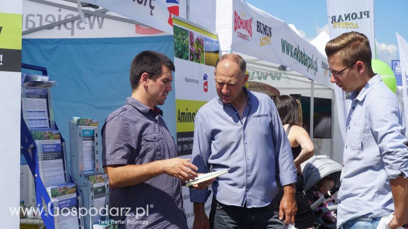 Arkop na Opolagrze 2017