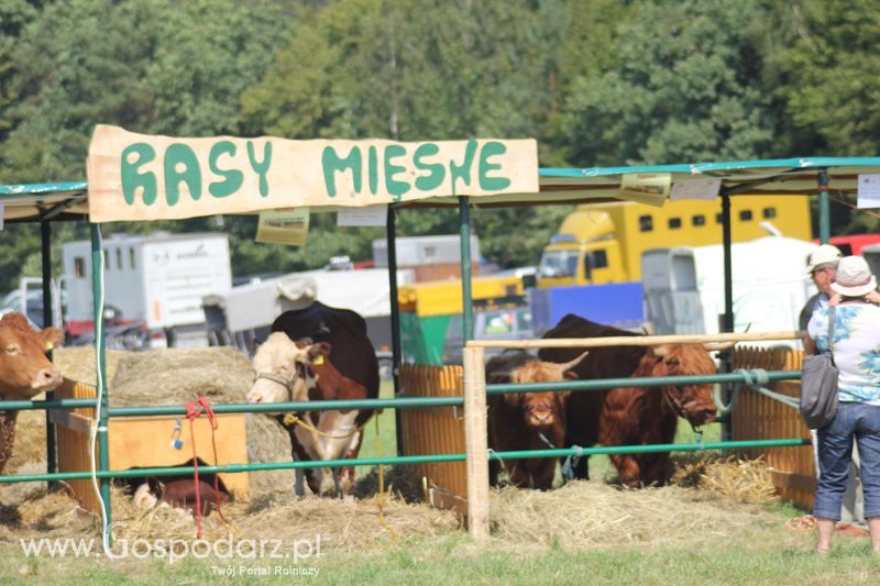 Pożegnanie Wakacji w Rudawce Rymanowskiej