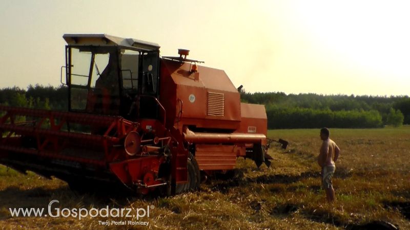 Żniwa 2013