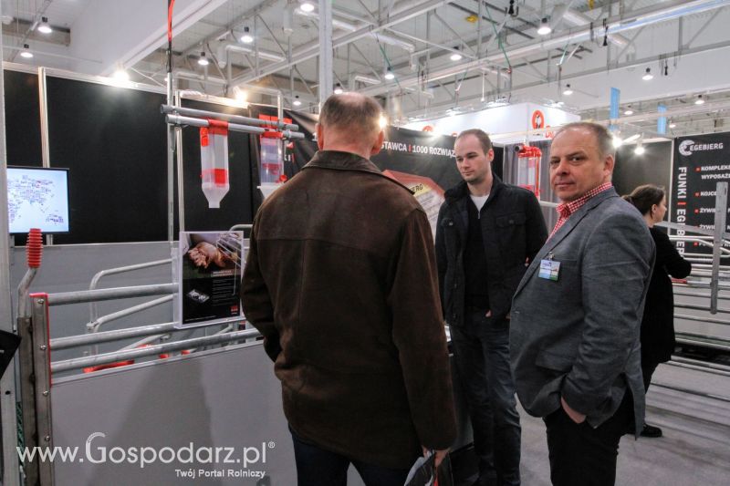 Ferma 2019 dzień 2