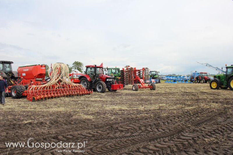 Pokazy polowe Romanów k/Krotoszyna