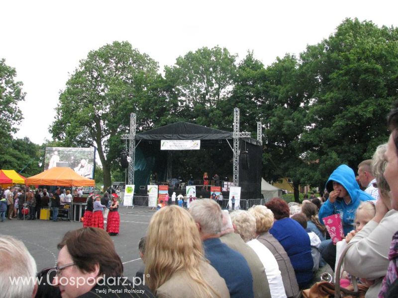 Festiwal Wieprzowiny w Koźminie Wielkopolskim 2013