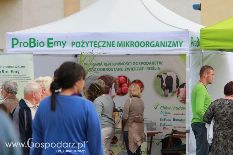 Targi ROLEXPO w Sochaczewie