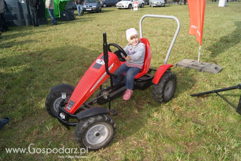 POKAZY POLOWE SKORZĘCIN 13.10.2014