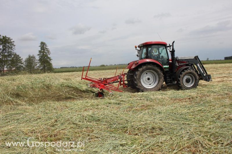 Pokazy polowe Romanów k/Krotoszyna