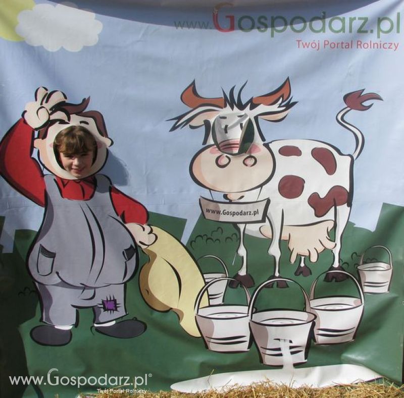 Agro Show 2011 Bednary Zdjęcie z krówką Niedziela