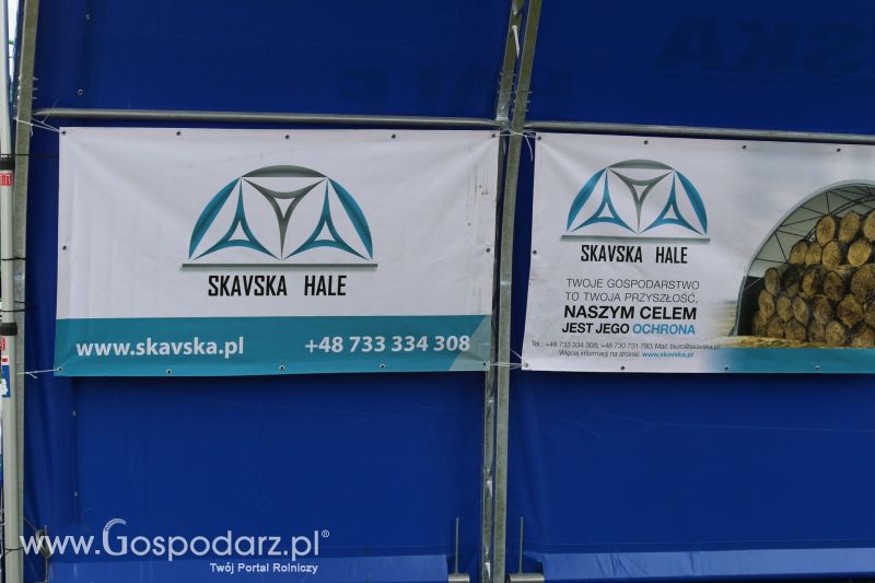 Skavska Hale na Regionalnej Wystawie Zwierząt Hodowlanych i Dni z Doradztwem w Szepietowie 2017