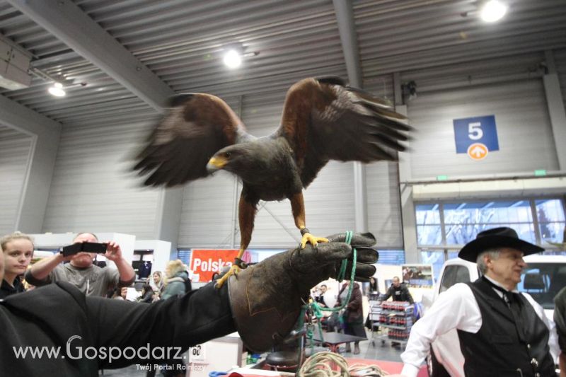CAVALIADA 2013 w Poznaniu