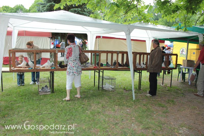 XX Targi Rolnicze Lubniewice 