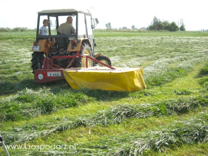 pierwsze sianokosy w roli głownej ursus c330M...