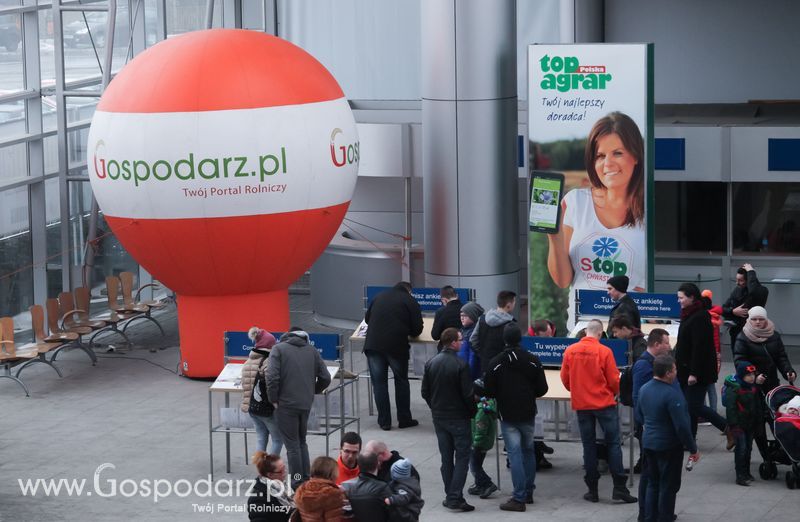 Polagra-Premiery, Niedziela 24.01.2016 r.