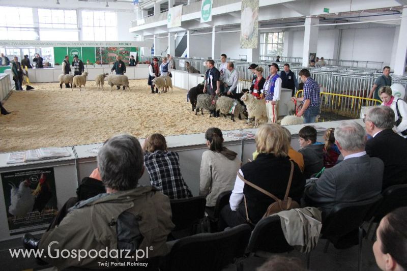 XXVI Krajowa Wystawa Zwierząt Hodowlanych - sobota i niedziela