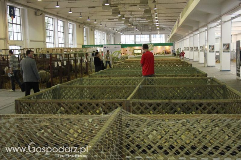 XXVI Krajowa Wystawa Zwierząt Hodowlanych - piątek