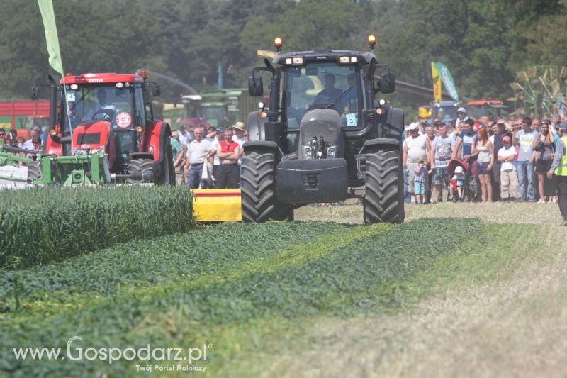 Zielone AGRO SHOW – POLSKIE ZBOŻA 2014 w Sielinku - niedziela