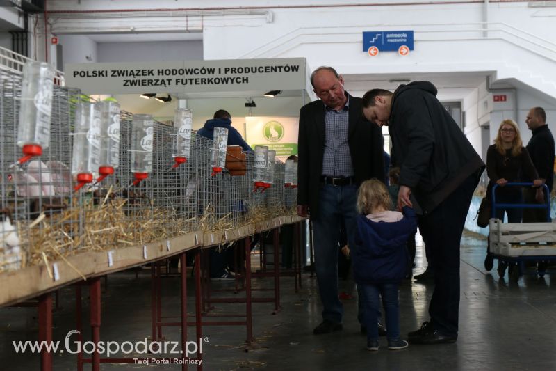 Krajowa Wystawa Zwierząt Hodowlanych w Poznaniu 2017 (sobota, 6 maja)