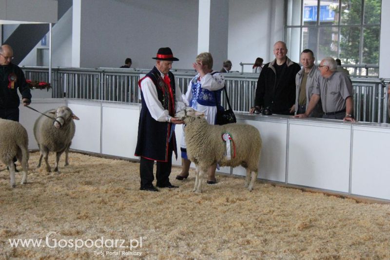 XXVI Krajowa Wystawa Zwierząt Hodowlanych - sobota i niedziela