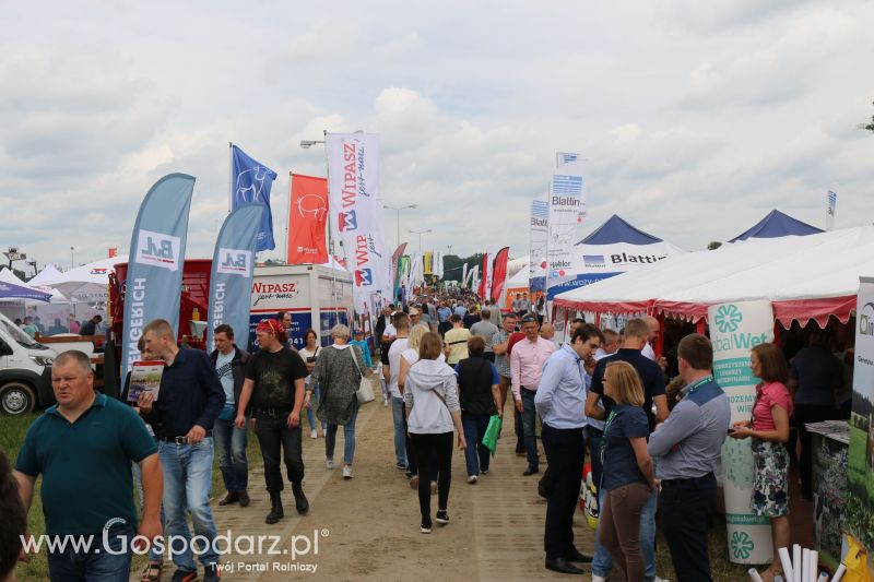 Intergen na Regionalnej Wystawie Zwierząt Hodowlanych i Dni z Doradztwem w Szepietowie 2017