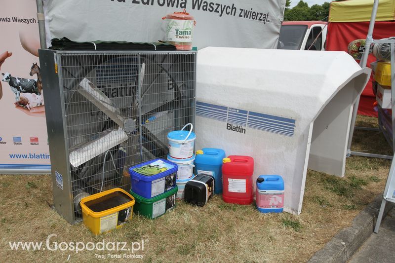 Zielone AGRO SHOW - Polskie Zboża 2015 w Sielinku