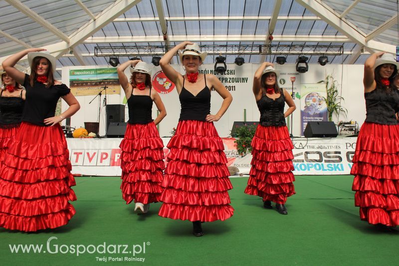 Ogólnopolski Festiwal Wieprzowiny w Sielinku