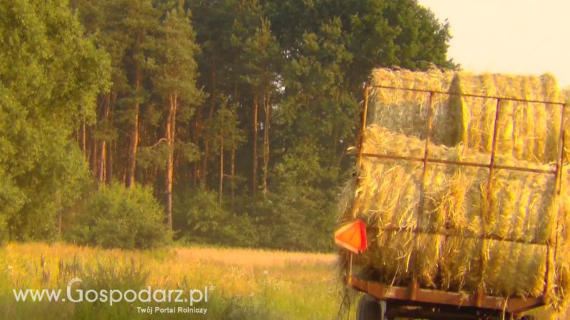 Zbiór Słomy 2013