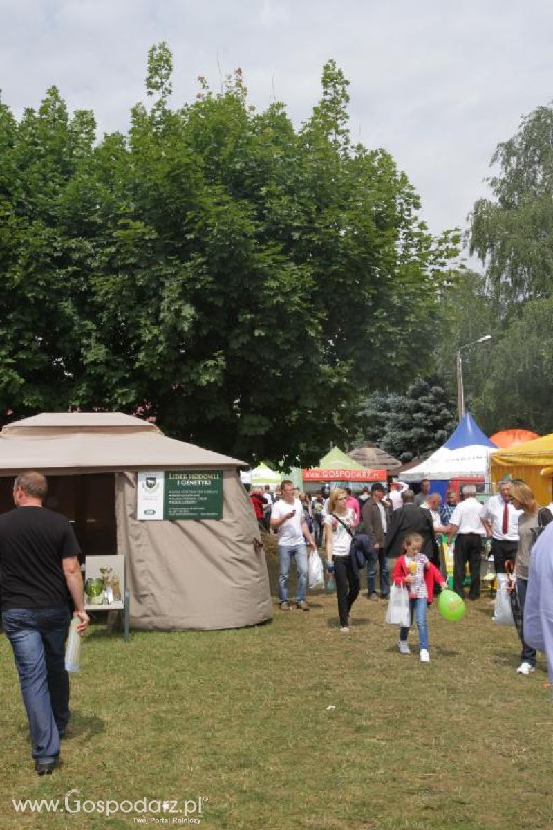 VIII Ogólnopolska Wystawa Bydła Hodowlanego, XXI Regionalna Wystawa Zwierząt Hodowlanych i Dni z Doradztwem Rolniczym w Szepietowie